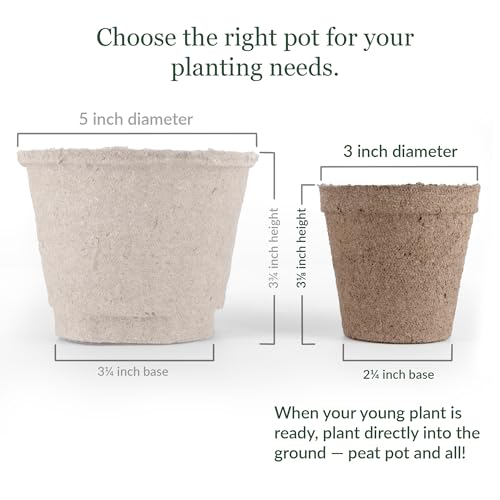 Jiffy Organic Seed Starting 3\" Biodegradable Peat Pots (100 Pots) - Thumbnail 4