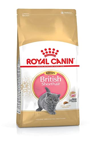ROYAL CANIN British shorthair chaton - sac de 2 kg
