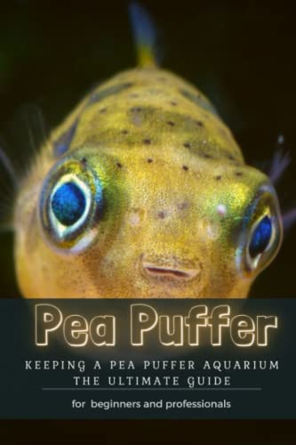 Pea Puffer: Keeping Ð° Pea Puffer Aquarium thÐµ Ultimate Guide