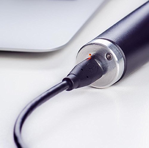 Otoskop LED LuxaScope Auris gris de 3,7V con USB para revisiones de oído diarias 3