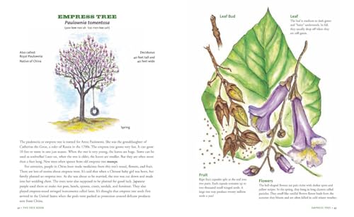 The Tree Book for Kids and Their Grown-Ups - Image 5