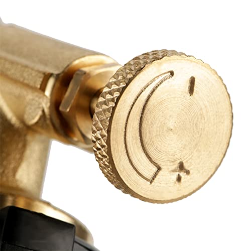 Cuisson de steak parfaite et allumage de barbecue avec torche butane - 8