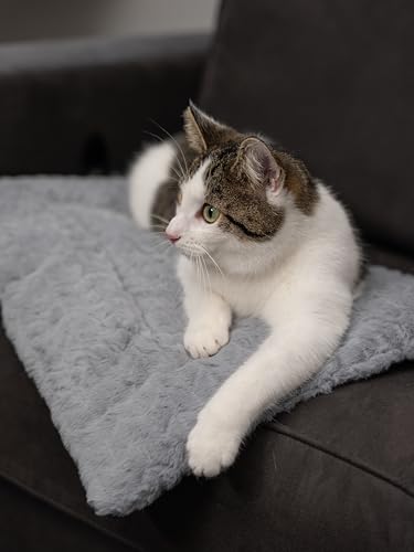 TrendPet Hundedecke Heaven gefütterte Liegedecke, Wendedecke für Hunde und Katzen, Grau (75x55cm)