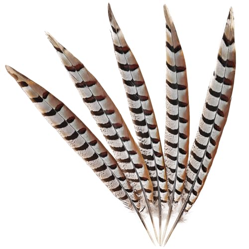 MehelloFeather Natural Pheasant Feathers 5Pcs Pheasant Tail Feather 6-8Inch for Crafts Home Decoration Wedding Performance Party DIY Clothes Decoration