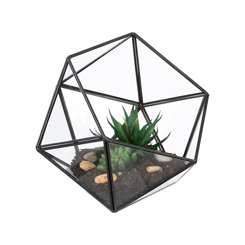 Relaxdays Terrario Piante, Mini Serra Vetro e Zinco, HLP 16x17x20 cm, Piantine Grasse e Muschi, Vaso Ecosistema, Nero