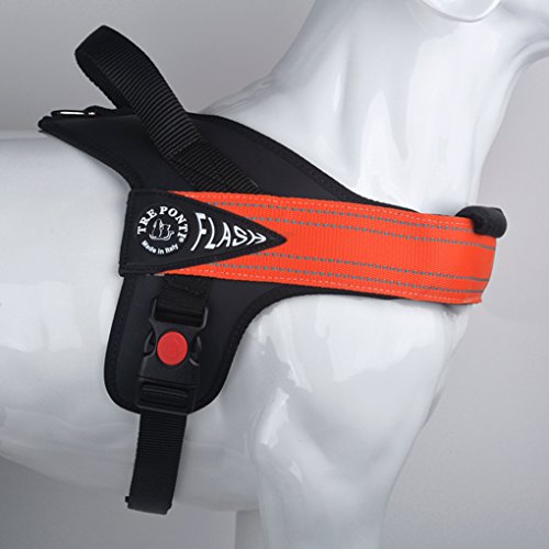 Pettorina tre ponti flash arancio dorsale bordo