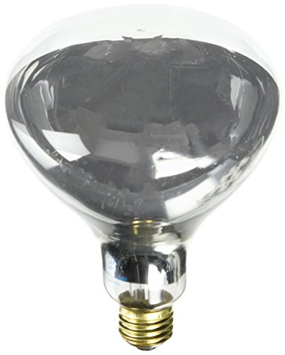 Westinghouse Clear 0391600, 250 Watt, 120 Volt Incandescent R40 Light