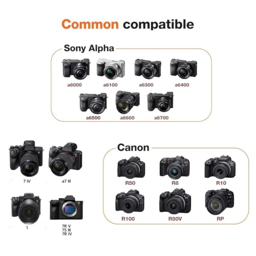 Ruhaya Hard Shell Camera Case Compatible with Canon/Sony camera, EVA Material, Adjustable Shoulder Strap, Zipper Closure, Black, with Elastic Dividers - image 4