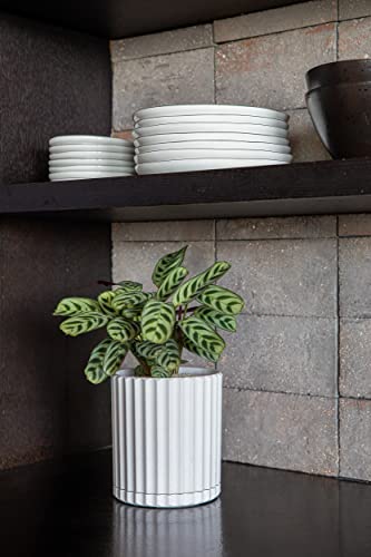 Image of Veradek Demi Series Demi 6 inch Planter w /Tray, White
