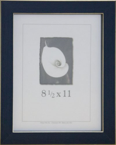 Frame Usa Clean Cut Series 8.5X11 Wood Picture Frames (Blue) | Choose Size And Color #TOP15