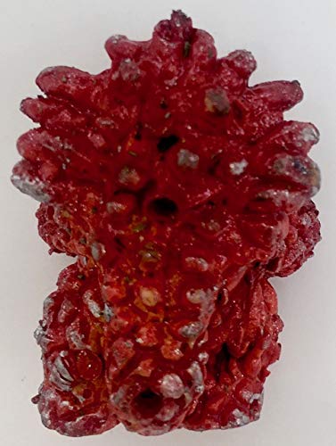 Amazon.co.jp: ウルトラマンA ウルトラ怪獣消しゴム ミサイル超