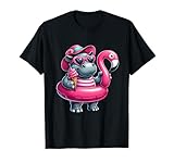 Summer Flamingo Swimming Float Ideas