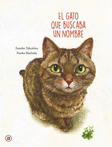 Consejos y comparativas para Comprar Gato los 7 más buscados. 30 EL GATO QUE BUSCABA UN NOMBRE