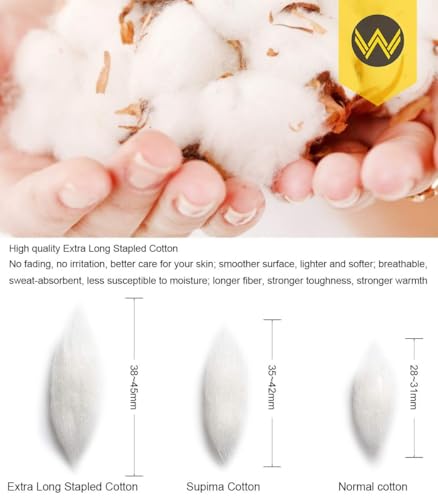 WANDER No Show Socks 10 Pairs Cotton Non Slip Low Cut Invisible Loafer Socks Men&Women Boat Liner 6-8/9-11/12-144