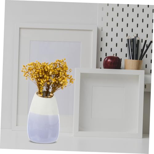 5 unidades ramilletes naturales secos de flor Gypsophila miniatura 3