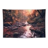 Weiches Material: Dieser Wandteppich besteht aus 100% Polyestergewebe, das weich, langlebig, farbecht, hautfreundlich, leicht und einfach aufzuhängen oder zu verstauen für den Innen- oder Außenbereich.