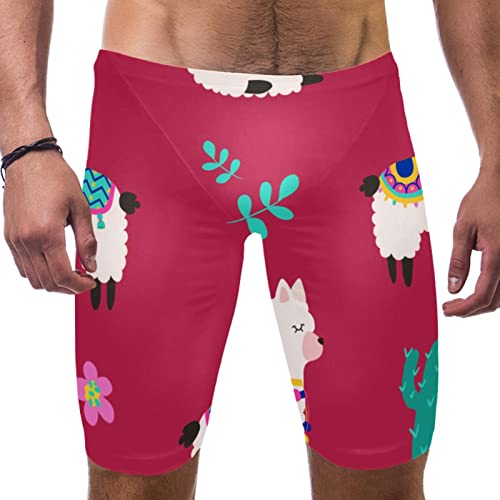 Bañador de hombre multicolor Alpaca Red Llama talla XL para entrenamiento natación