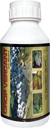 Atkotiya Agro Crop Verdant Fungicide (1 Lit)