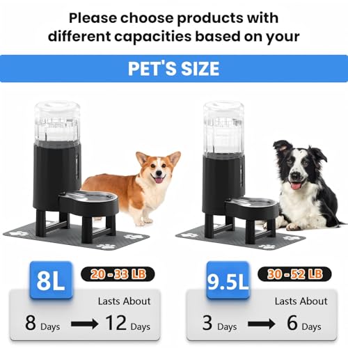 Distributeur d'eau surélevé évite mal de cou grand chien CZPET