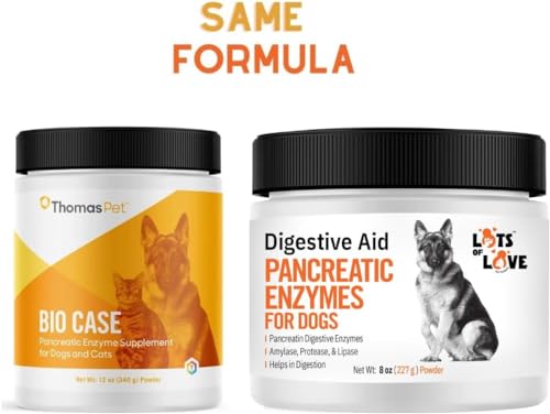 Pancreatic Digestive Enzymes for Dog & Cat (8 Oz Powder) – Thomas Labs Bio Case Earlier – Good Support for EPI – Lots of Love Pet Products Pancreatic Digestive Enzymes for Dog & Cat (8 Oz Powder) – Thomas Labs Bio Case Earlier – Good Support for EPI – Lots of Love Pet Products