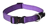 ROGZ Reflective Dog Collar for Large Dogs, Adjustable from 13-22 inches, Purple