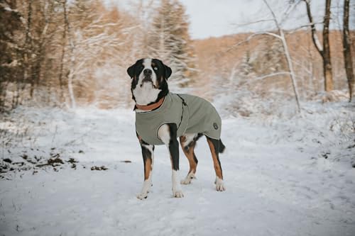 Hunter Hundemantel Uppsala, Farbe: Khaki, 2in1 Design mit herausknüpfbarem Innenfutter, wasserabweisend, reflektierende Paspeln, geschlossene Bauchseite, optimaler Sitz, Größe: 30