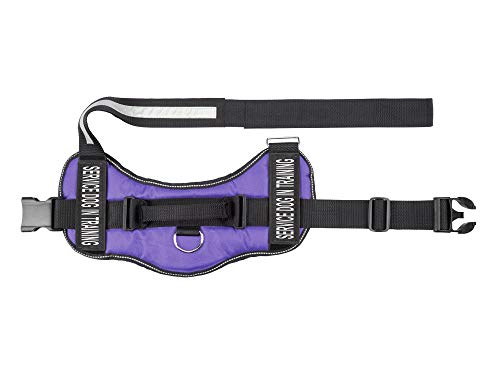 Doggie Stylz Service Dog In Training Vest With Hook And Loop Straps And Handle – Harness Comes In Sizes Xxs To Xxl – Three Colors – Dog Harness Features 2 Reflective Patches (Girth 12”- 16" Purple) #TOP2