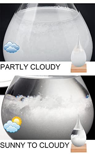image for OUZIFISH Storm Glass Weather Station Predictor, Barometer Bottle with 