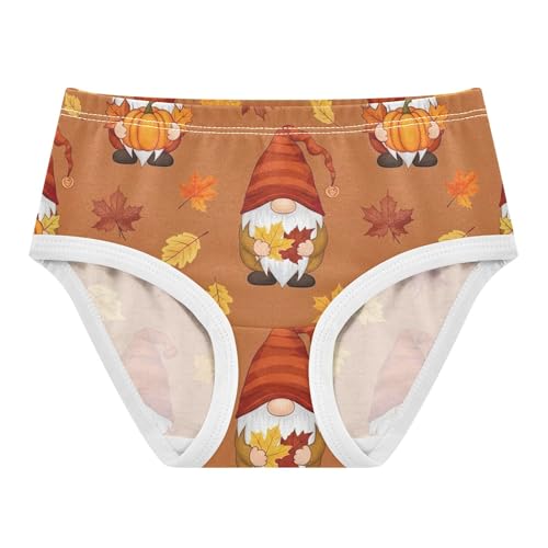 Cute Autumn Gnomes Pumpkins Panties for Girl Toddlers Underwear Floral Cotton Personalized Undies Kids Briefs 2t