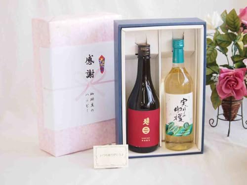 贈り物南部美人特別純米(岩手県)720mlギフトセット 盛田甲州ワイナリー実りの収穫 白 甘口(山梨県)720ml