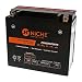 NICHE Battery for YTX20HL-BS AGM Maintenance Free, Sealed | 310CCA, 12V, Self Activated | ATV, Motorcycle, Snowmobile | For Harley-Davidson, Honda & more