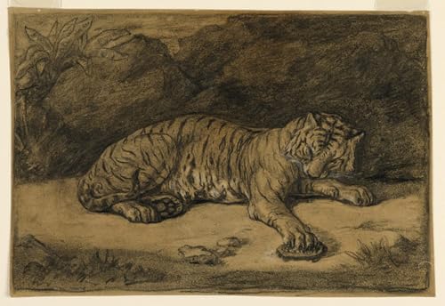Toile un tigre et une tortue Barye affiche portrait artistique d'émotion murale