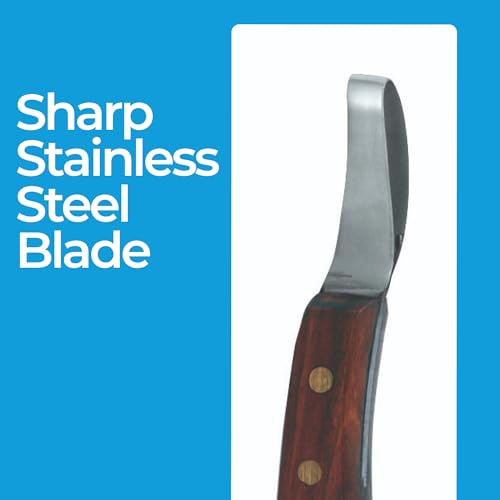Image of 7 Inch Swiss Hoof Knife Double Edged - Stainless Steel Curved Blade Farrier Tool with Round Wooden Grip, Multipurpose Hoof Trimming Knife for Livestock. (Oval Hoof Knife)