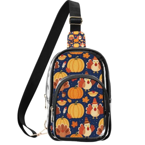 Bolso transparente con bolsillos para conciertos y festivales