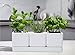 D'vine Dev Herb Garden Planter Set, Plastic Plant Pots with Drainage and Saucer, Indoor Succulent Cactus Vegetable Pot for Windowsill, Garden Balcony, White, Set of 2, 76-V-A-2