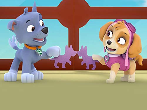 Pups Save Friendship Day