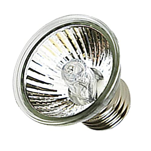 Generic 爬虫類用加熱ランプ、熱水族館トカゲ、クリップホルダー付きバスポット, 25ワット電球