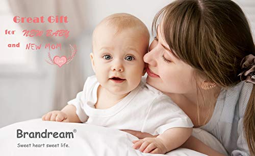 Brandream Shabby Floral Crib Bedding Set For Girls, Baby Girl Bedding Crib Set, Cunas Para Bebes, White, Blush Pink Flower Crib Skirt, Baby Comforter, Crib Sheet Beige #TOP7