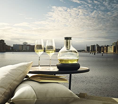 EvaSolo Decanter carafe w/cool