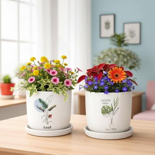 Image of Xtore Aureflora Ceramic Planter with Drainage Tray | Artistic Floral Print Pot for Home, Study Table & Window Decor - (White, 2 Piece, Planter ONLY)