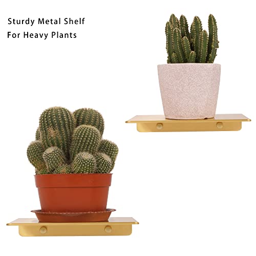 Veefos Small Gold Floating Shelves For Wall Decor 7.7 Inch, 2 Sets Bathroom Shelves Organizer Wall Mount, Sturdy Metal Wall Shelf For Plants Cell Phone Speakers Cameras Living Room Office #TOP1