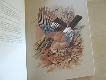 Hardcover Birds of Town and Village Book
