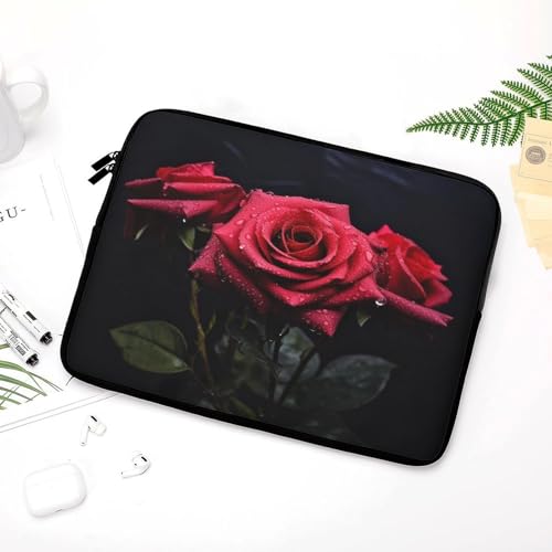 Funda para portátil de 17 pulgadas compatible con MacBook Air y Notebook 5