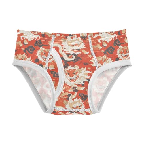 visesunny Boys Potty Training Underwear Ethnic Cartoon Red Lion Breathe Cotton Briefs Size 2T-8Y for Toddler
