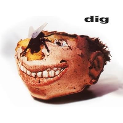 Dig