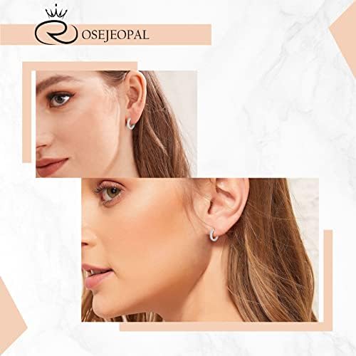 Silver Hoop Earrings for Women, 925 Sterling Silver Post Small Huggie Hoop Earrings, Hypoallergenic Cubic Zirconia Hoop Earrings for Women Men Girls(15mm)