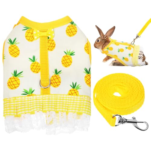 m[uhi pwSn[lX ʋC\tgxXg pCibvybgxXg [ht ETM bg tFbg qLΉ Oo