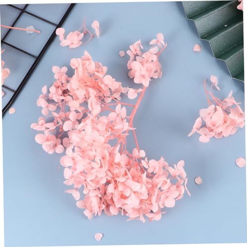 Pétalos secos preservados de hortensia rosa miniatura 6
