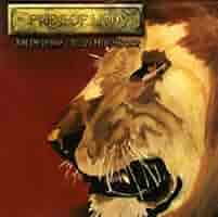廃盤　PRIDE OF LIONS　2枚セット　送料無料 Amazon.co.jp | The Lion King II: Simba's Pride Special