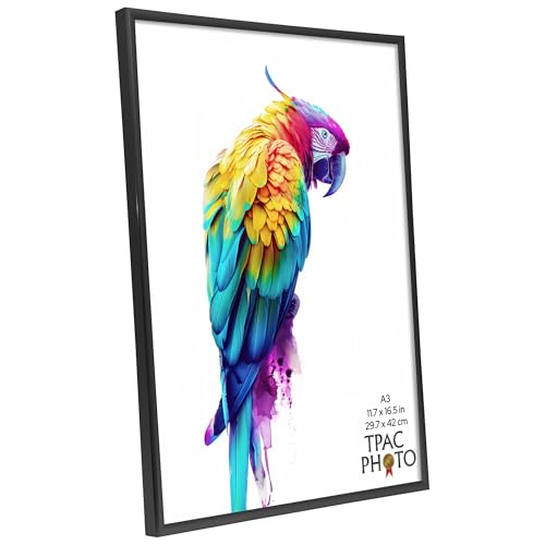 The Photo Album Co BACKLOADER A3 Black Poster Frame Acrylic (Non-Glass) Pack of 1 - Image 3